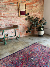 Load image into Gallery viewer, Nare, antique Persian Lilian, 4x7’