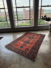 Load image into Gallery viewer, Arpi, Persian Lilian rug, 4’ 2 x 6’ 5