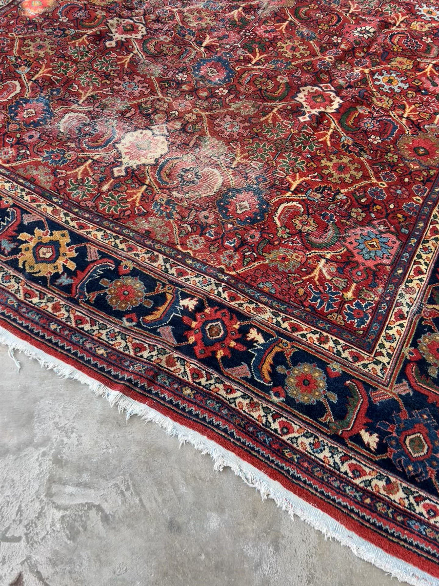 Shabahang Rugs Waukesha Hand Knotted Fine Wool Hamadan Rug 2'4 X 3'3 -  Shabahang Rug Gallery, Persian and Oriental Carpets