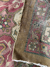 Load image into Gallery viewer, Diya, Antique Agra rug 10’9 x 15’2