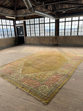 Load image into Gallery viewer, Diya, Antique Agra rug 10’9 x 15’2