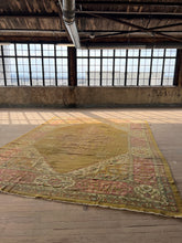 Load image into Gallery viewer, Diya, Antique Agra rug 10’9 x 15’2