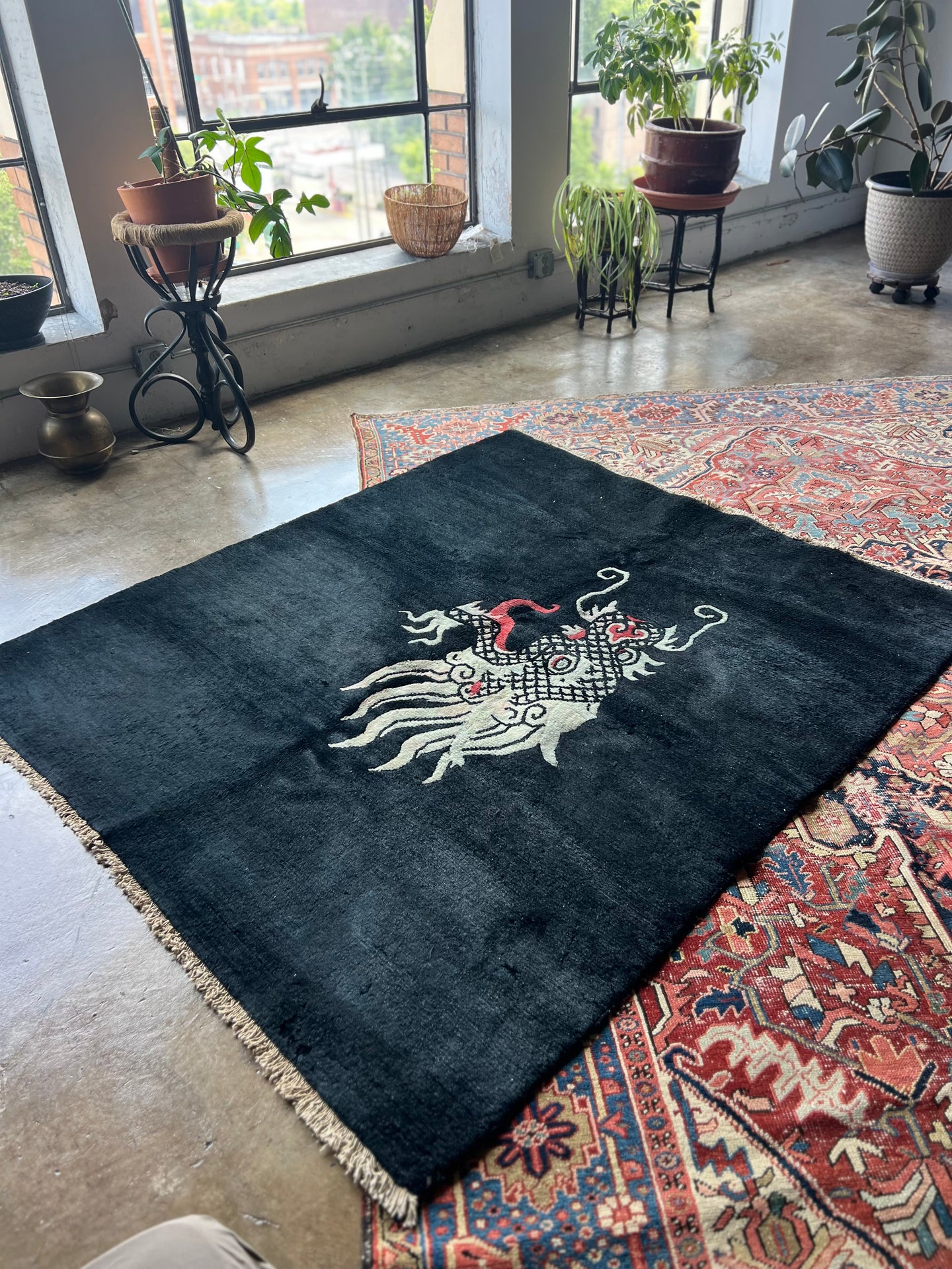 Jigme, Tibeton dragon rug, 5' x 5' 10