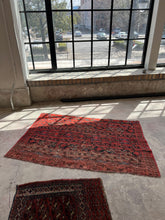 Load image into Gallery viewer, Farrokh, antique Turkomen tribal rug, 3’3 x 5
