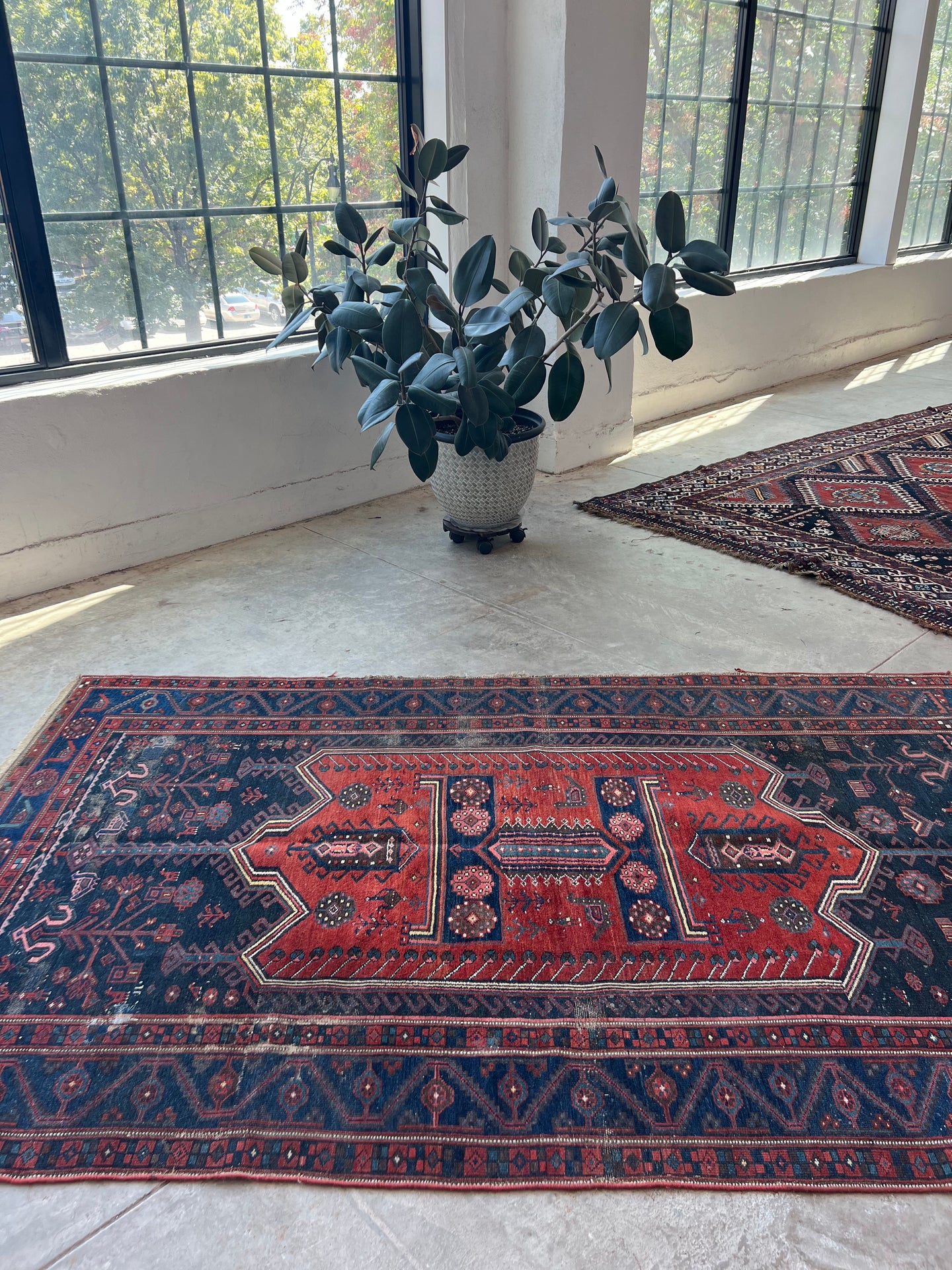 Chakameh, antique Kurdish tribal rug featuring a family portrait, 5x8