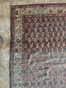 Bardia, Antique Persian Malayer 4'6 x 6'6