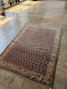 Bardia, Antique Persian Malayer 4'6 x 6'6