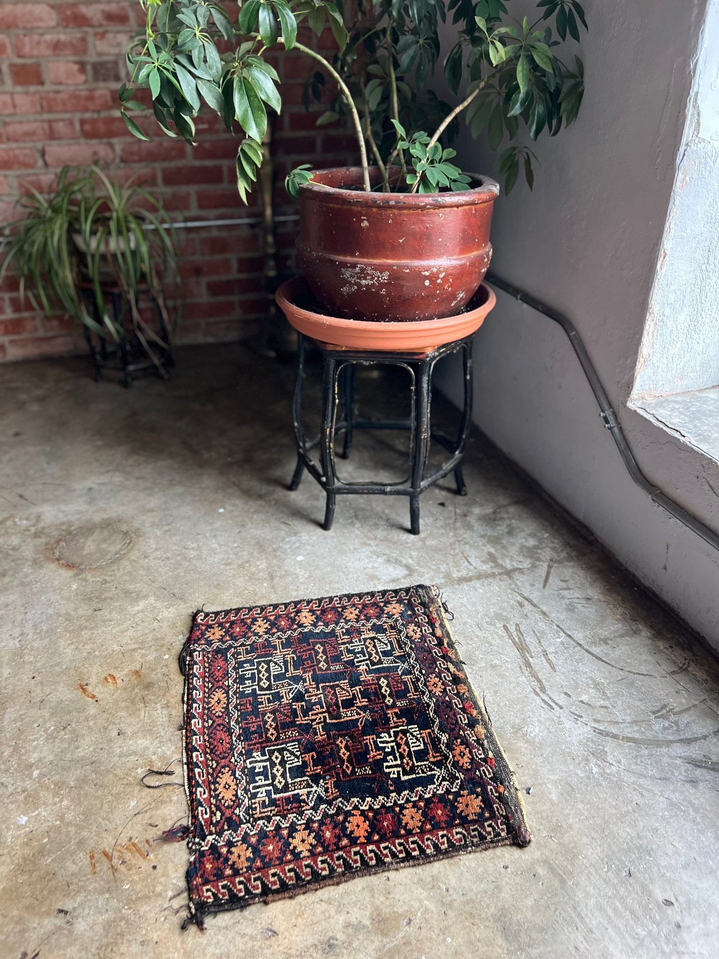 Cario, vintage Baluch tribal rug with animals, 1'7 x 1'9.5