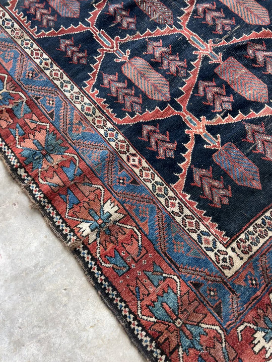 Nure, Afshar tribal scatter rug circa 1930s, 3'7 x 5 – Sapere Collection