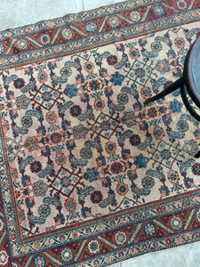 Darya, vintage Persian scatter rug, 5x 6’6