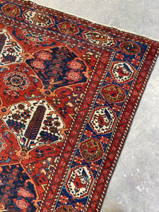 Borzou, Antique Persian Bahktiari, 6’11 x 10’4