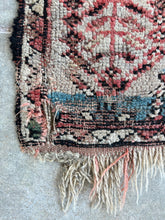 Load image into Gallery viewer, Fila, early 20th C, Kurdish tribal rug, 4’4 x 7’1

